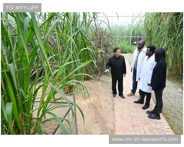世界板球技术研究院公布节水草皮维护试验报告